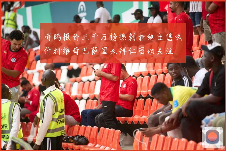 海鸥报价三千万镑热刺拒绝出售武什科维奇巴萨国米拜仁密切关注
